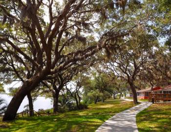 camp helen state park florida